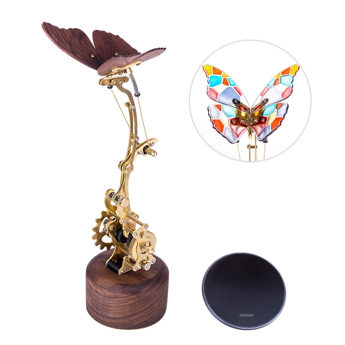 http://www.moyustore.com/cdn/shop/products/moyustore-3d-mechanical-kinetic-flying-butterfly-model-kits_5.jpg?v=1619530362