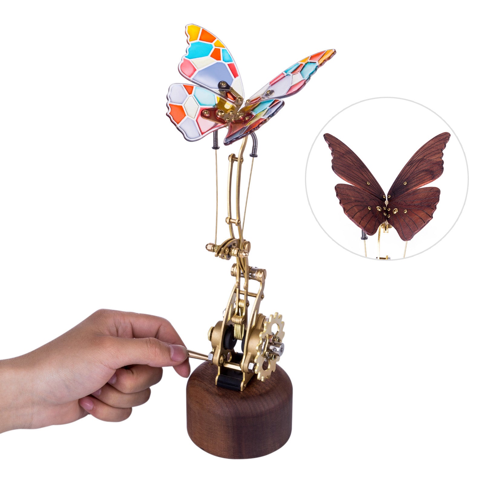 http://www.moyustore.com/cdn/shop/products/moyustore-3d-mechanical-kinetic-flying-butterfly-model-kits_8.jpg?v=1619530362