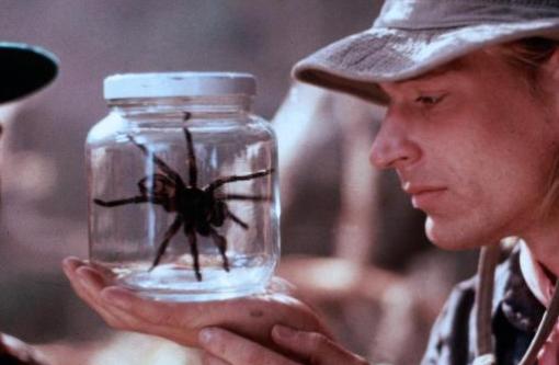 Top 7 Tarantula-themed Movies You Have To Watch | Moyustore