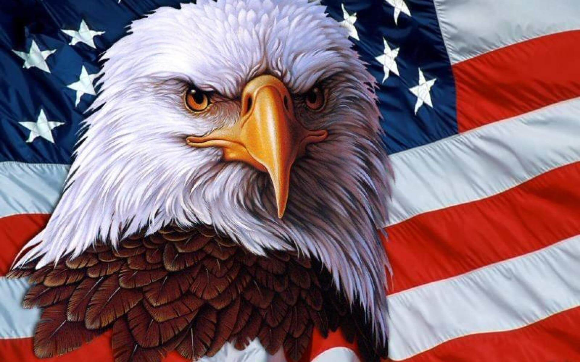 How The Bald Eagle Become A National Symbol of USA? | Moyustore