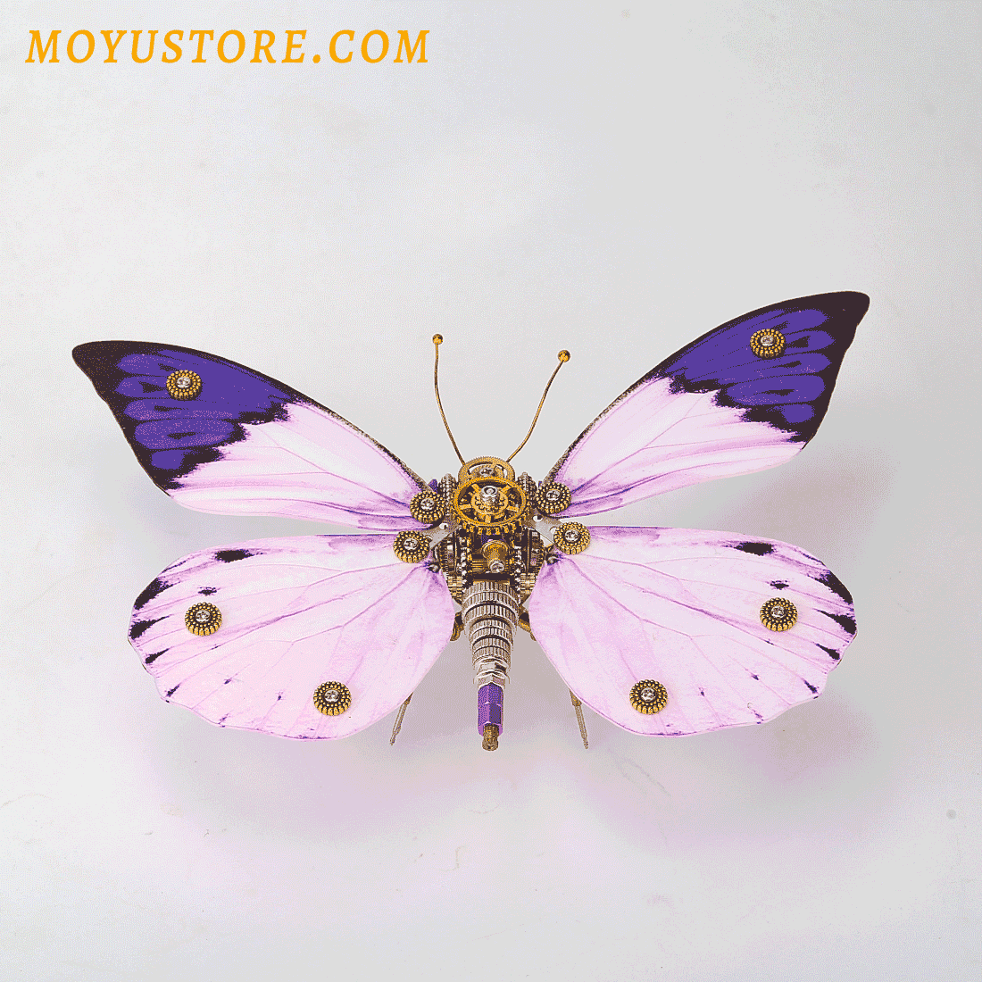 8 Steampunk Butterfly Colors Meanings and Symbolism