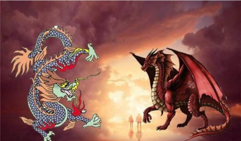 European Dragons VS Asian Dragons | Moyustore