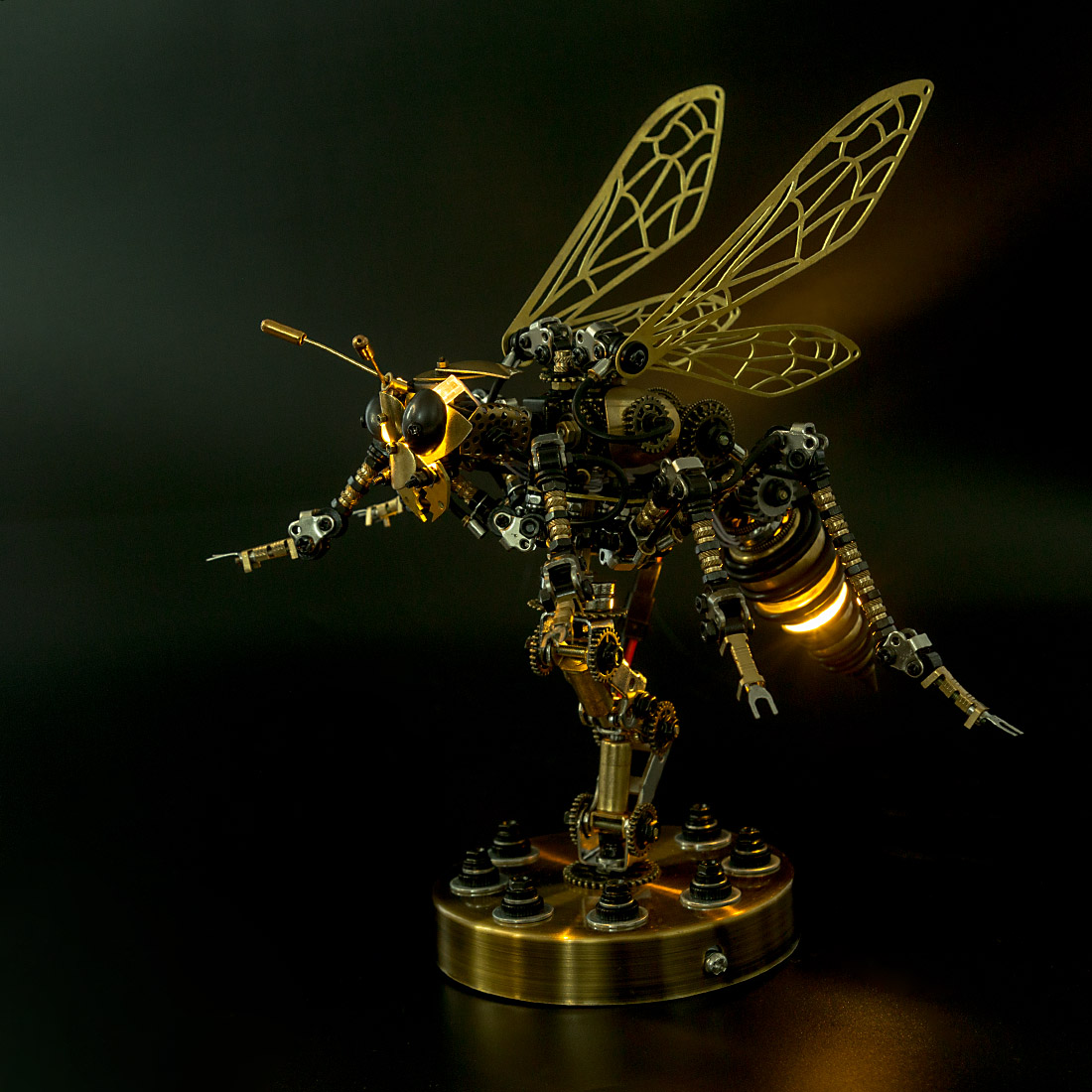 Insects & Bugs