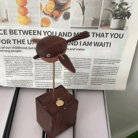 Handcarved Wooden Long-Tailed Tit Automata Mechanical Sculpture