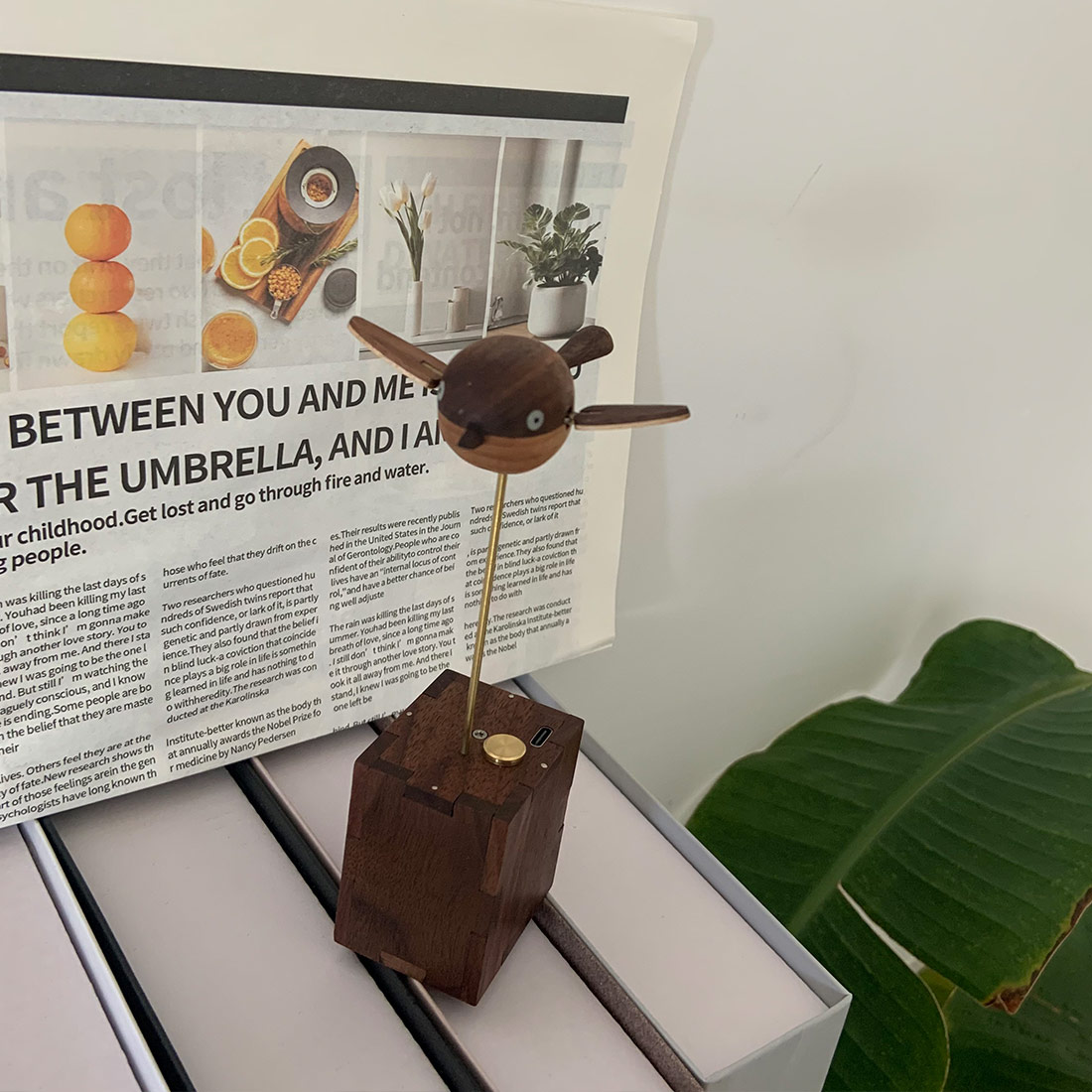 Handcarved Wooden Long-Tailed Tit Automata Mechanical Sculpture