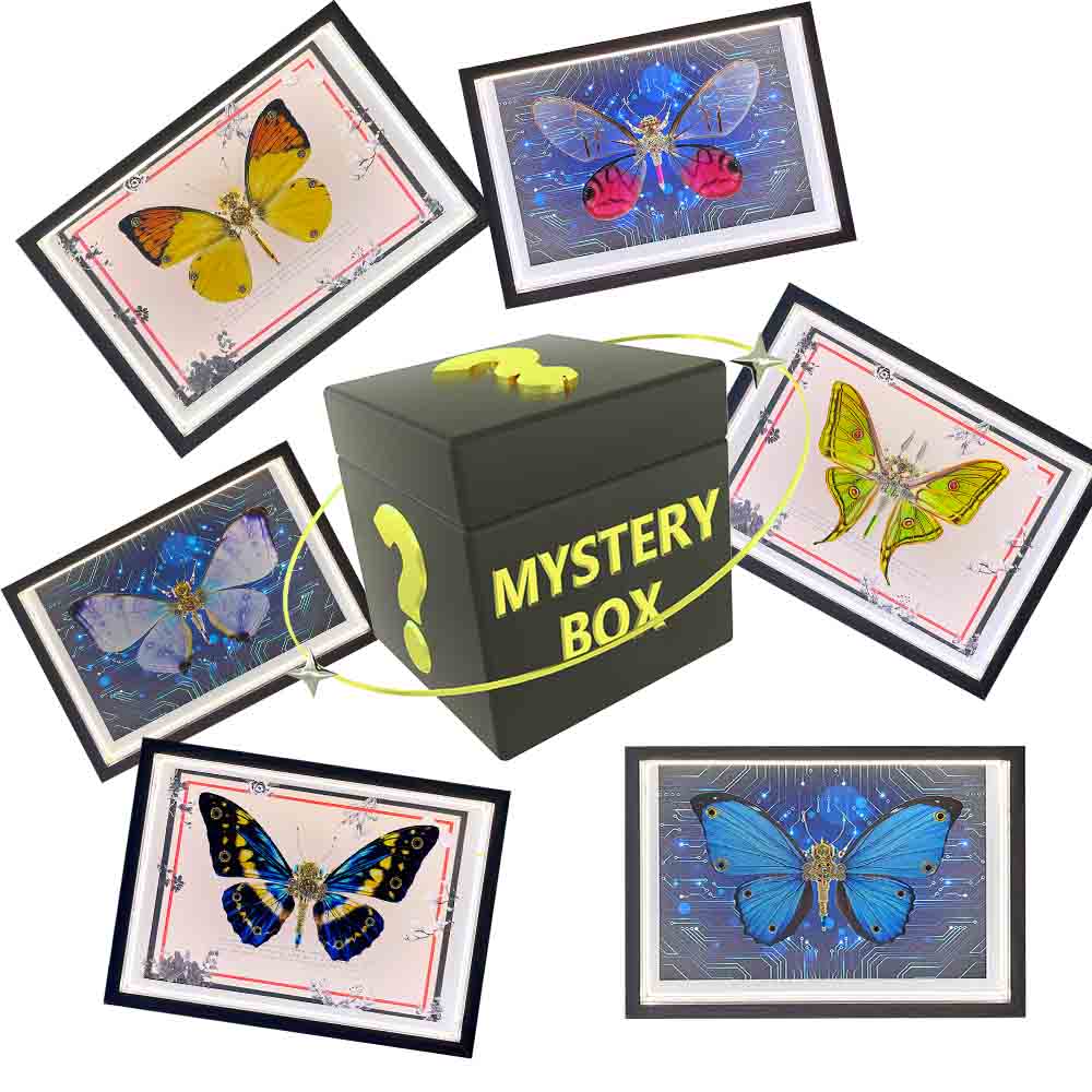 2pcs/set Random Mystery Box Steampunk Butterfly Kits with Circuit Board Frame