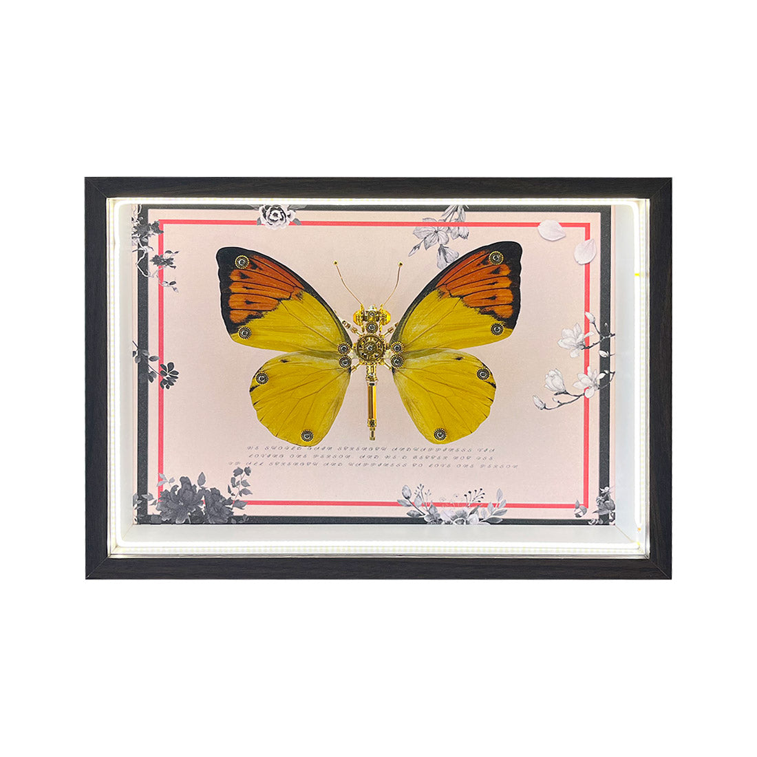 2pcs/set Random Mystery Box Steampunk Butterfly Kits with Circuit Boar