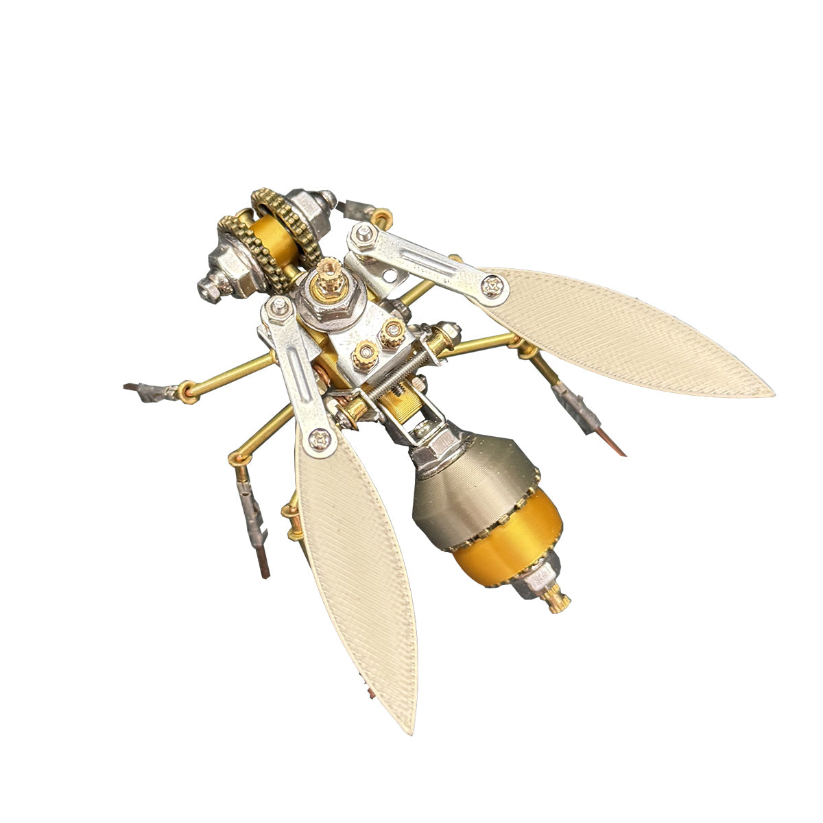 3D Metal Golden Asian Honey Bee Apis cerana Insect Model Kits