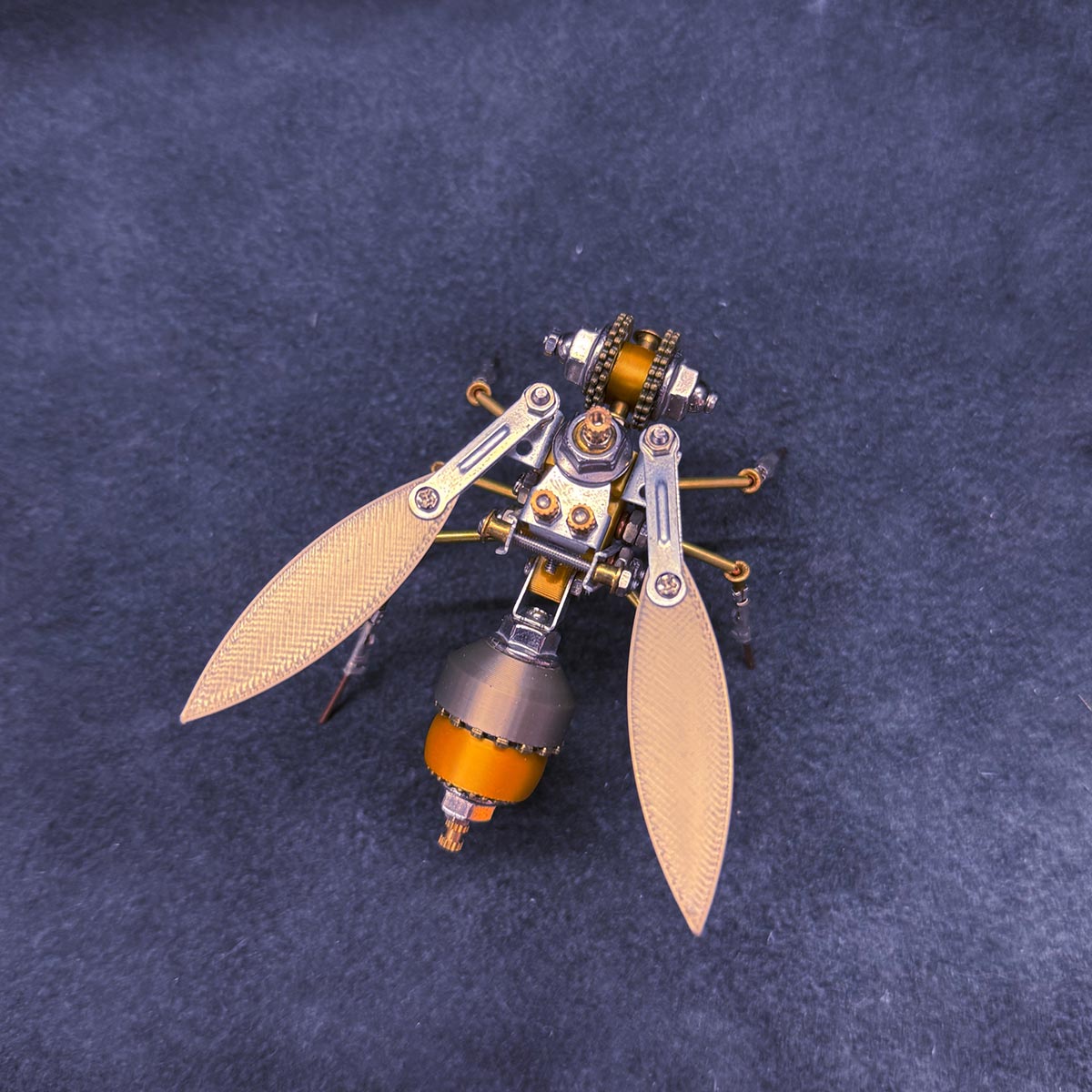 3D Metal Golden Asian Honey Bee Apis cerana Insect Model Kits