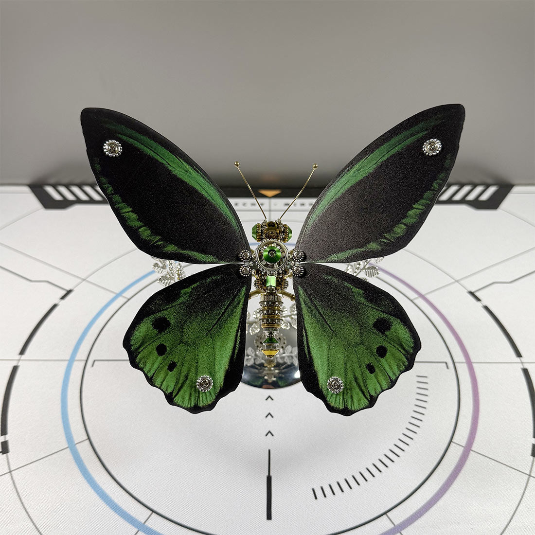 3D Metal Ornithoptera Birdwing Butterfly Steampunk Insect Model Kit