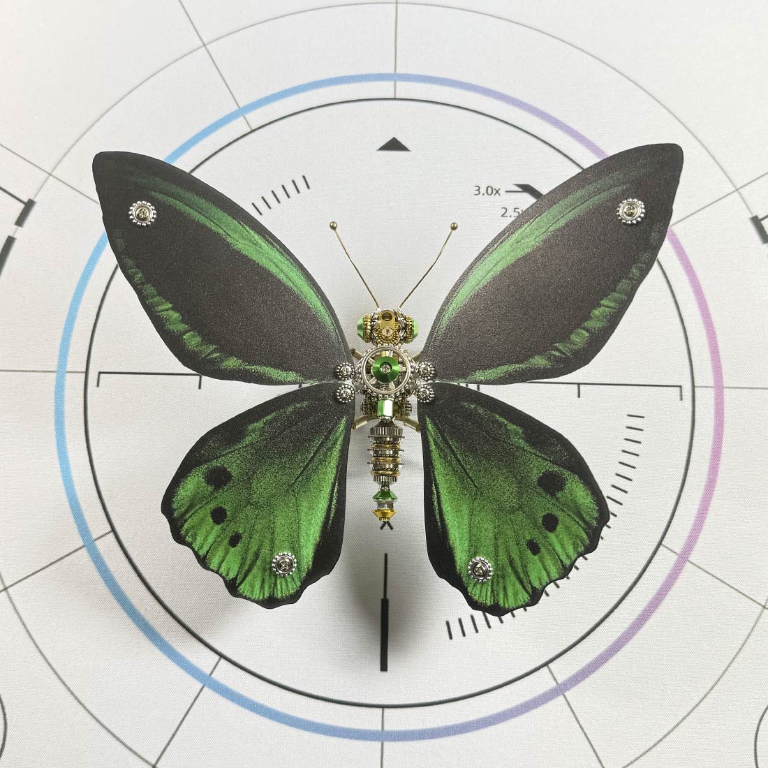 3D Metal Ornithoptera Birdwing Butterfly Steampunk Insect Model Kit