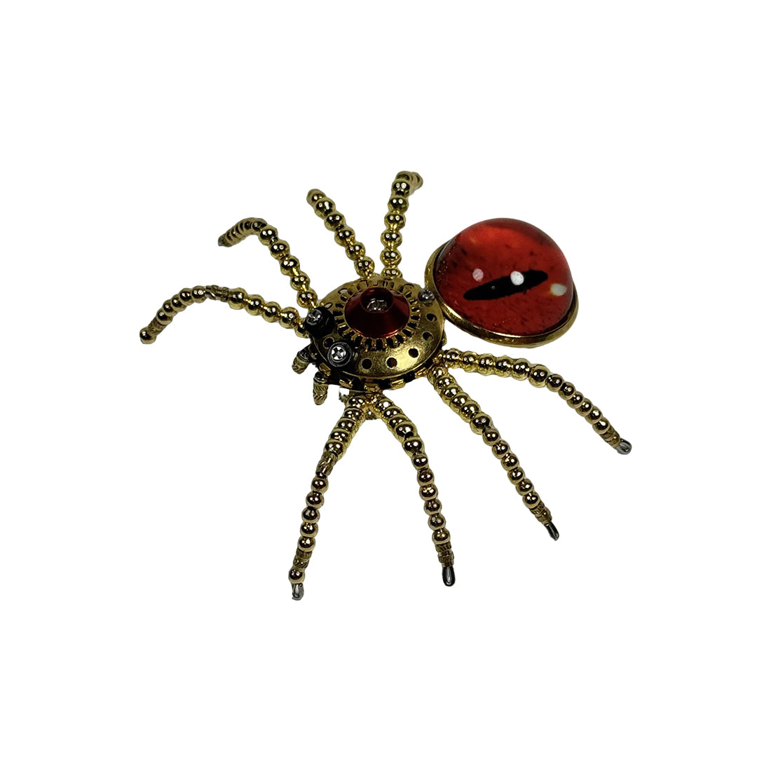 5pcs/Set Multi-functional Cat-eye Spider Brooch Fridge Magnet Model Kits