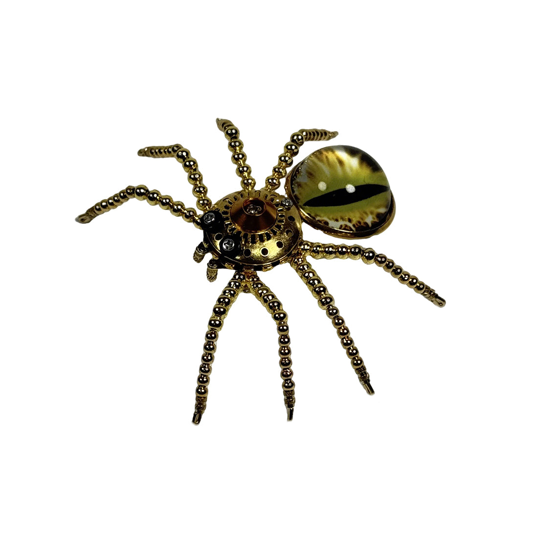 5pcs/Set Multi-functional Cat-eye Spider Brooch Fridge Magnet Model Kits