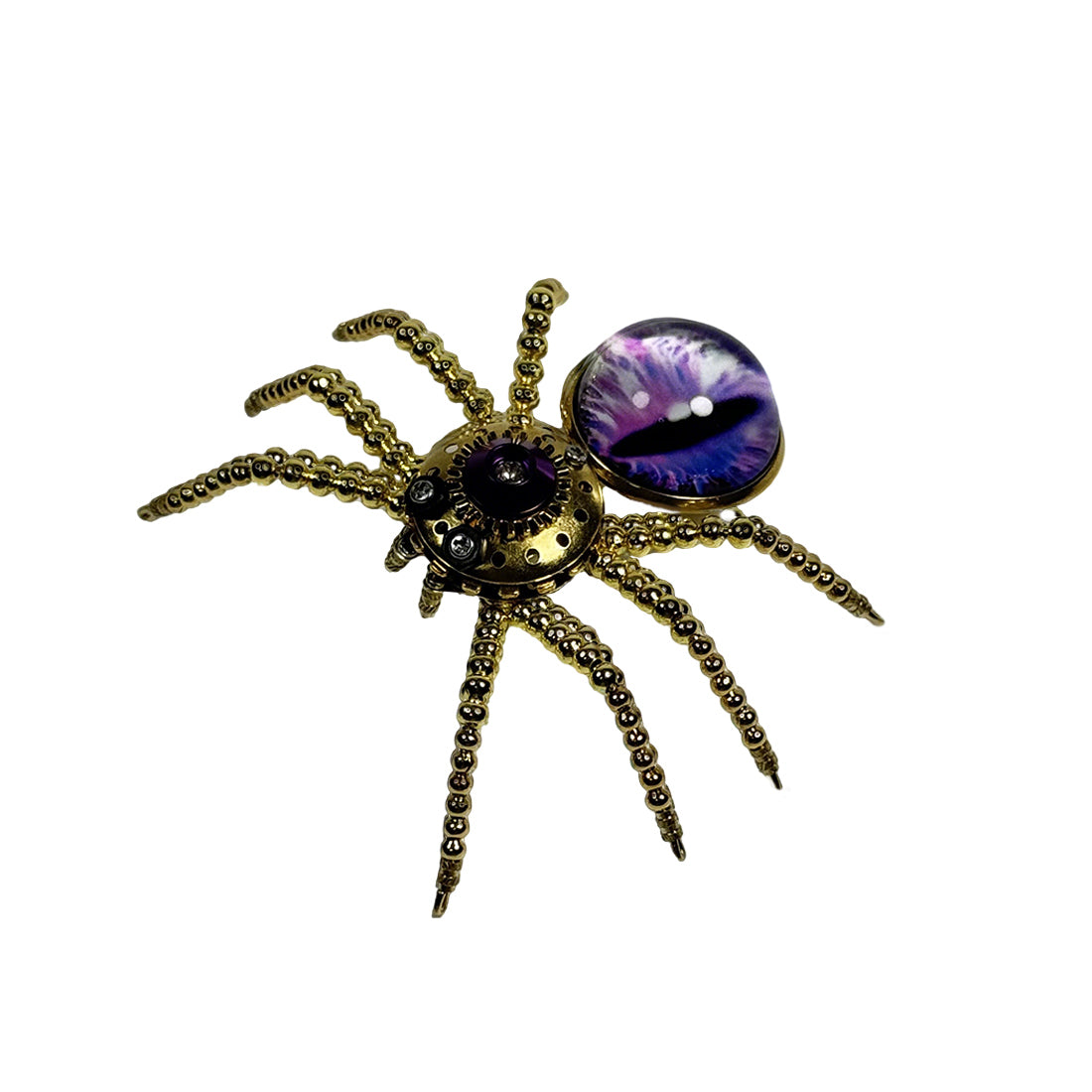 5pcs/Set Multi-functional Cat-eye Spider Brooch Fridge Magnet Model Kits