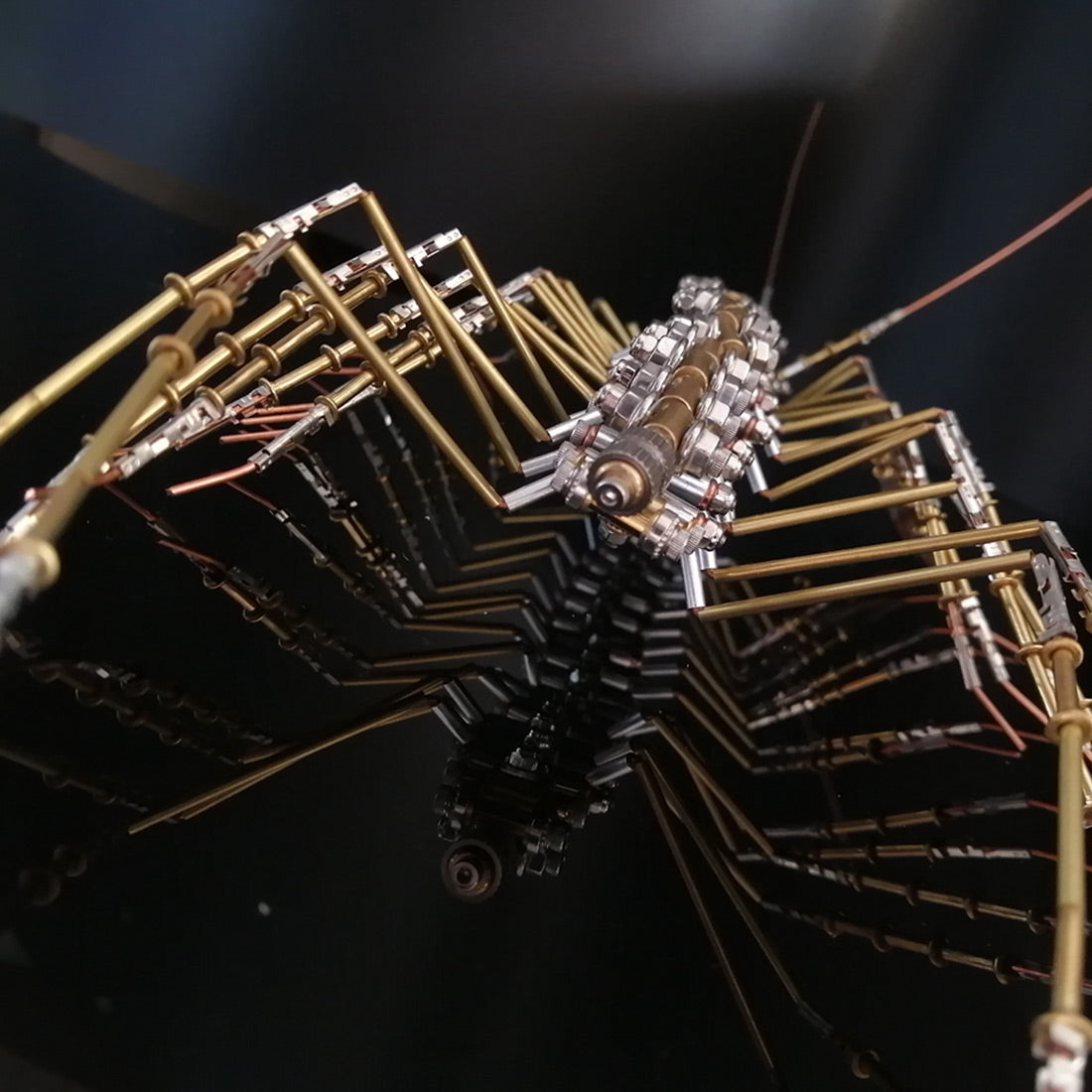 Biochemical Mechanical Scutigera Metal Model Building Kits Insect Art