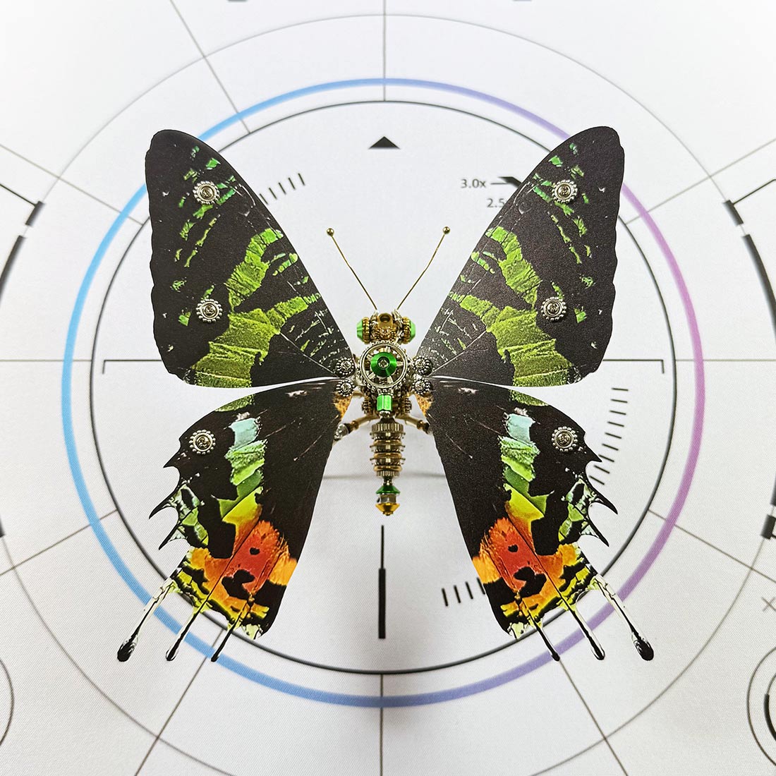 Build Your Own Steampunk Papilio phorcas Butterfly 3D Metal Model Kit for Beginner