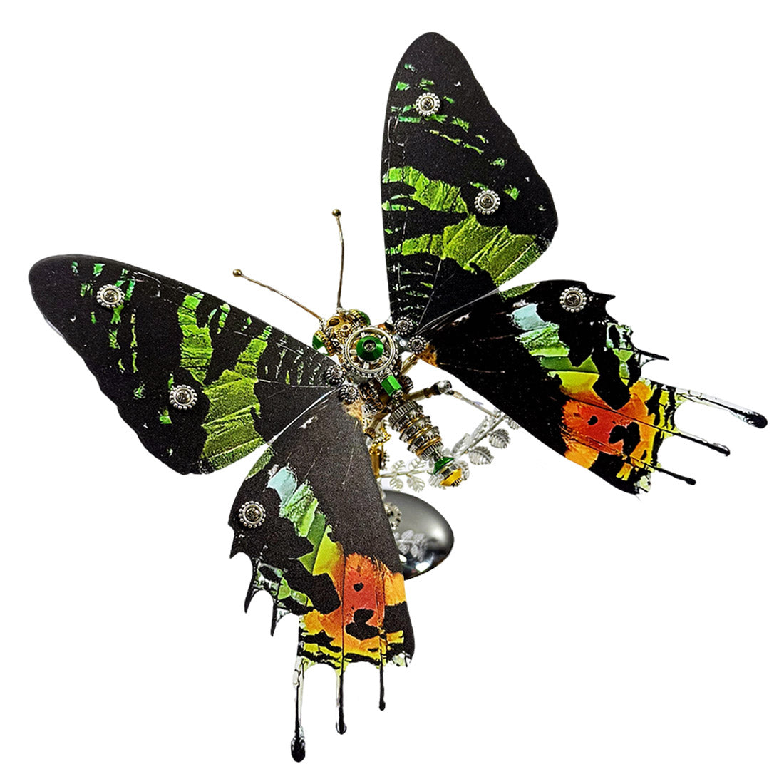 Build Your Own Steampunk Papilio phorcas Butterfly 3D Metal Model Kit for Beginner