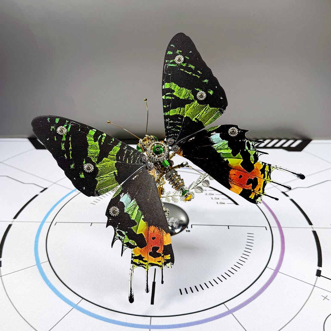 Build Your Own Steampunk Papilio phorcas Butterfly 3D Metal Model Kit for Beginner