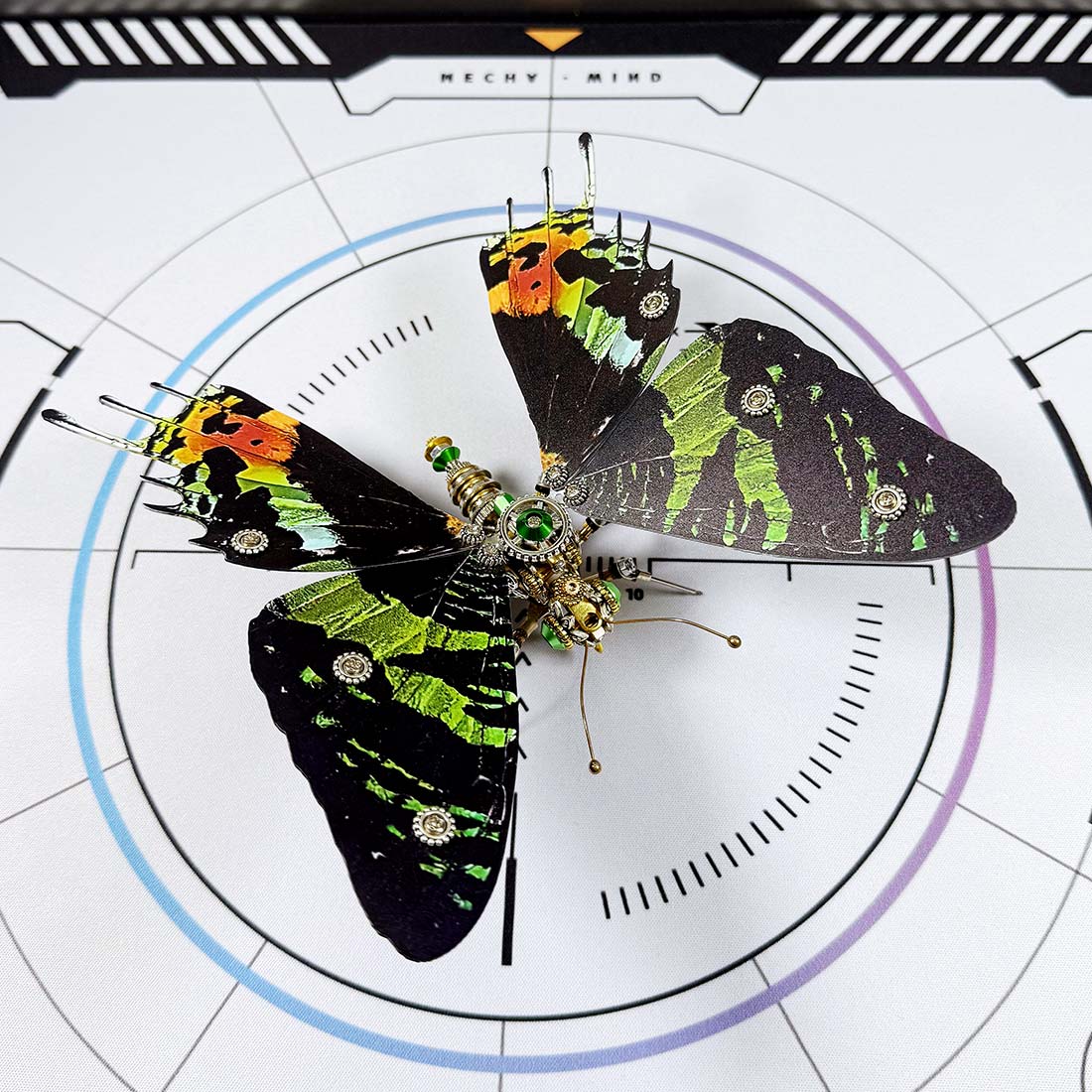 Build Your Own Steampunk Papilio phorcas Butterfly 3D Metal Model Kit for Beginner