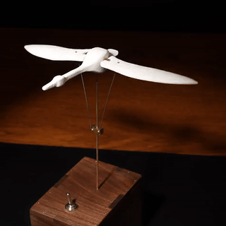 Kinetic Flying Swan Wooden Music Box Automata Sculpture
