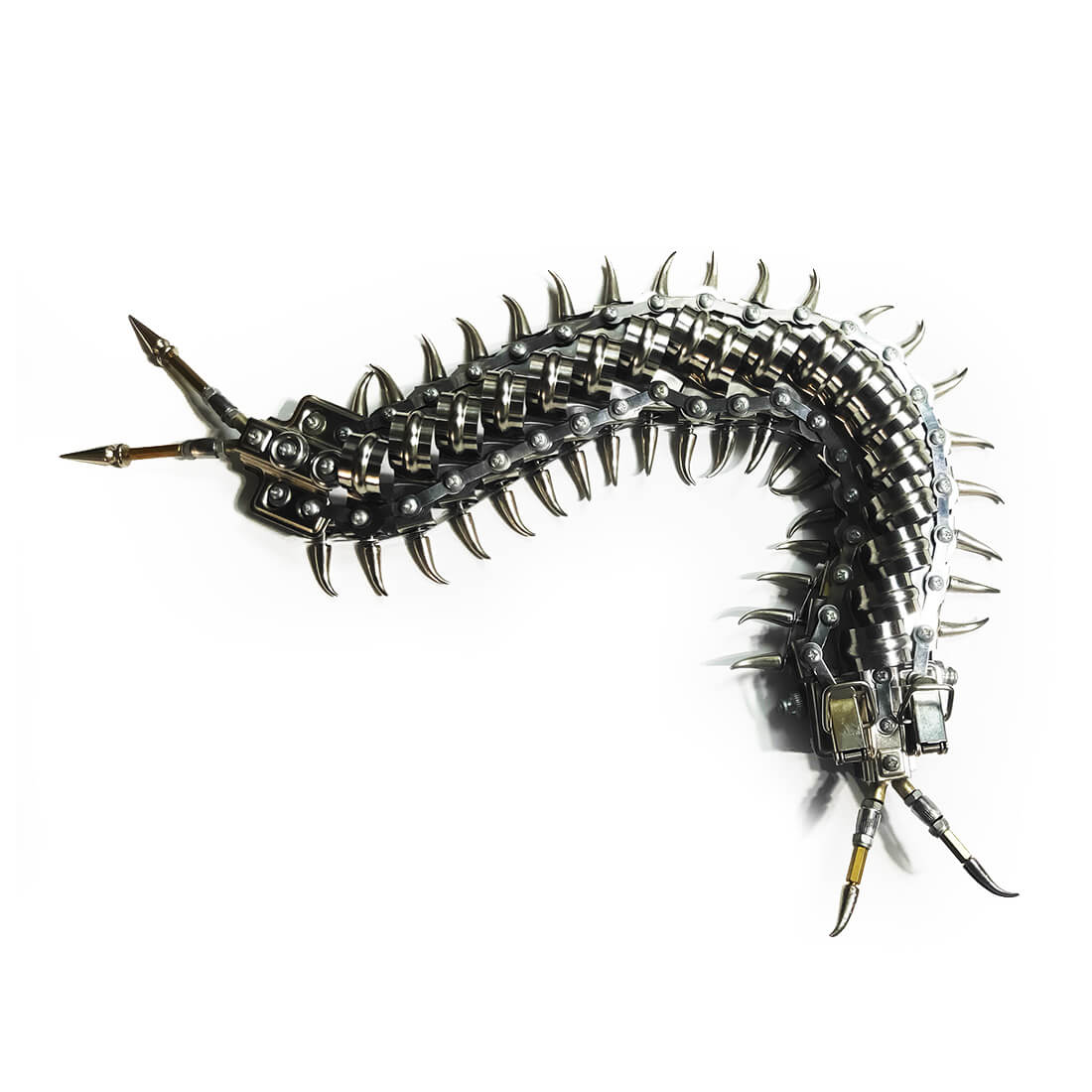 Centipede Rider Centipede Story