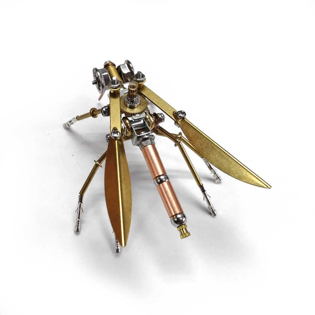 Insect Lovers