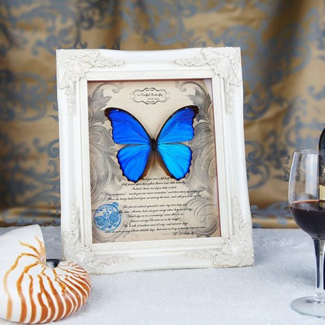 Blue Morpho Butterfly With White  Photo Frame Steampunk Specimen Model