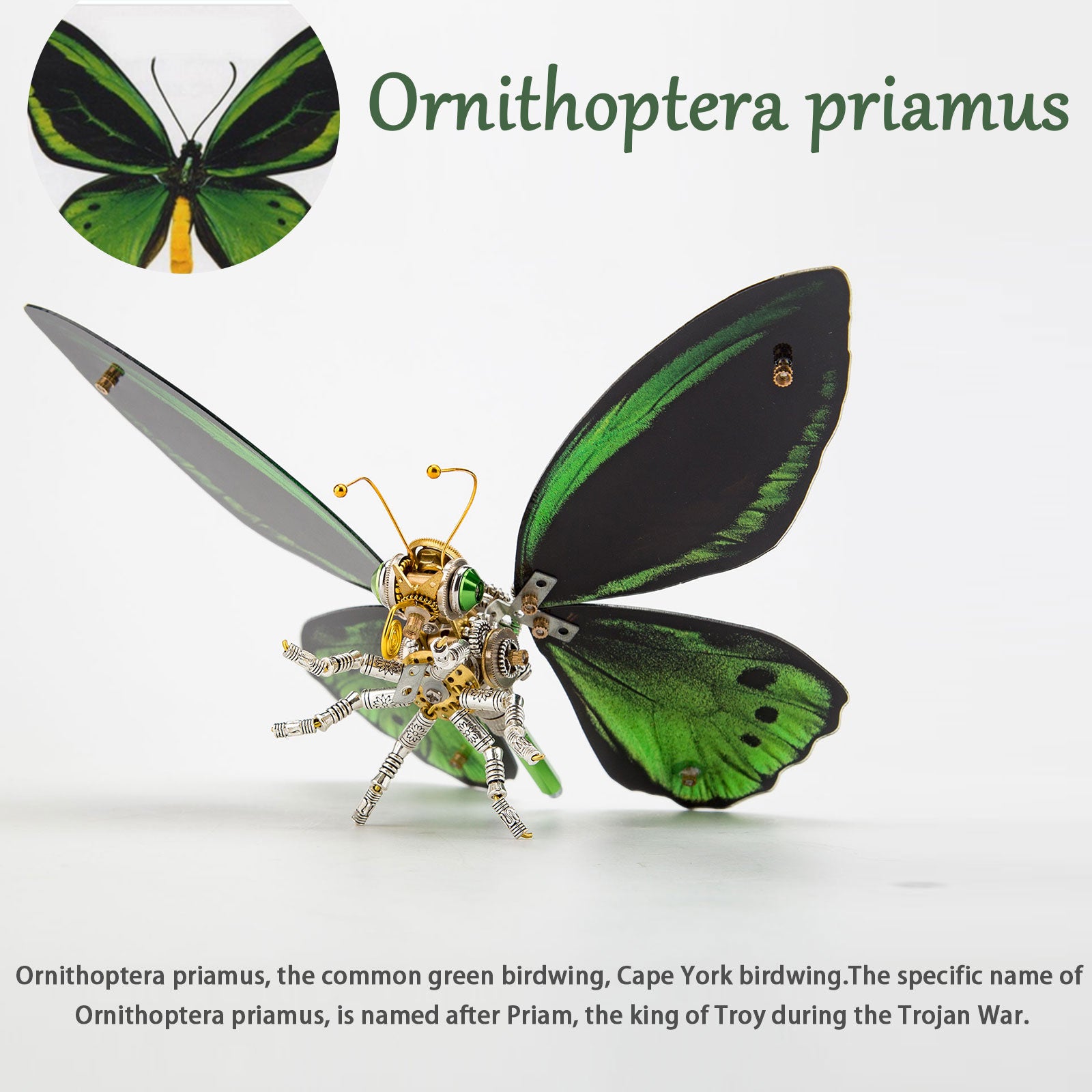 150PCS+ Steampunk 3D Metal Ornithoptera Priamus Model DIY Kits