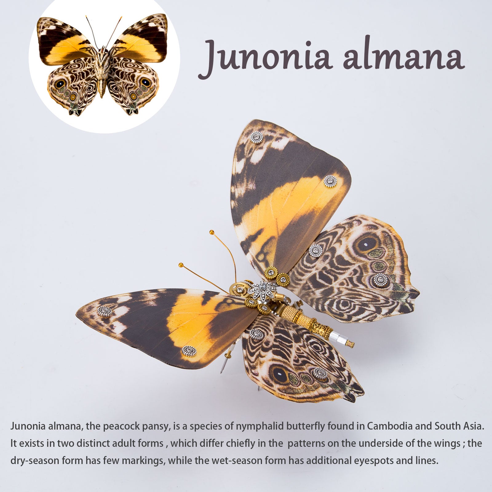 200PCS+ Steampunk Metal Assembly Butterfly Caligo Eurilochusa, Kallima Inachus & Junonia Almana