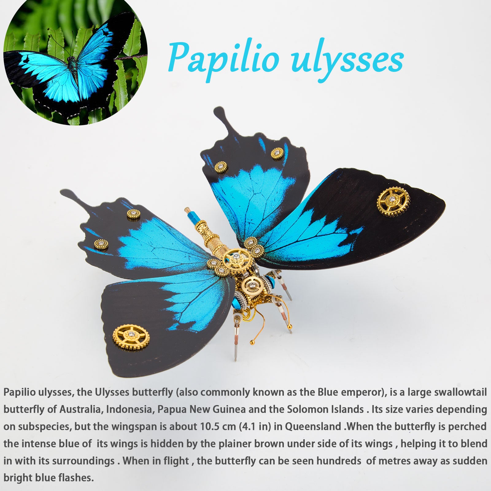 200PCS+ Steampunk Metal Assembly Butterfly Morpho Helena, Papilio Ulysses & Dichorragia Nesimachus