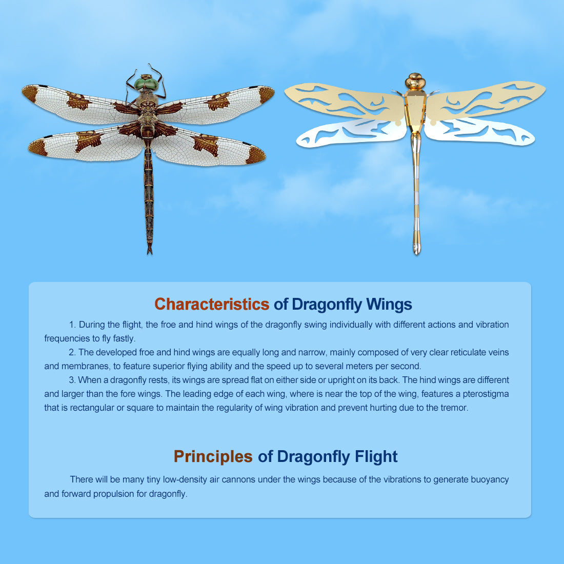 Golden Dragonfly Kinetic Art 3D Metal Model Kits 100pcs