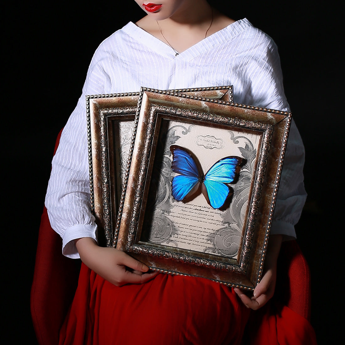 Blue Morpho Butterfly With White  Photo Frame Steampunk Specimen Model