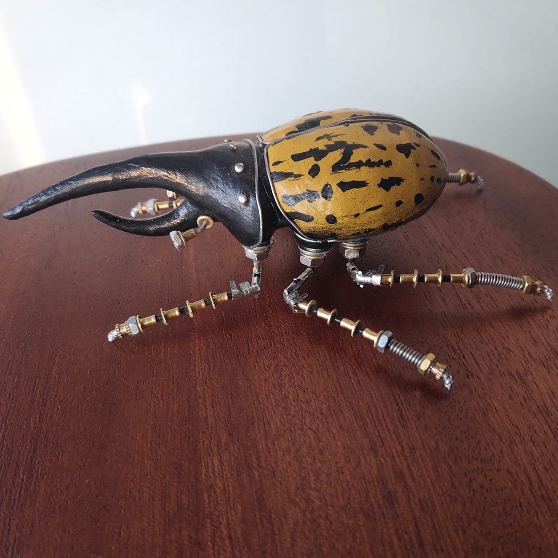 Bug Model Kit Beetle Bug Model Kits at Paul Caison blog