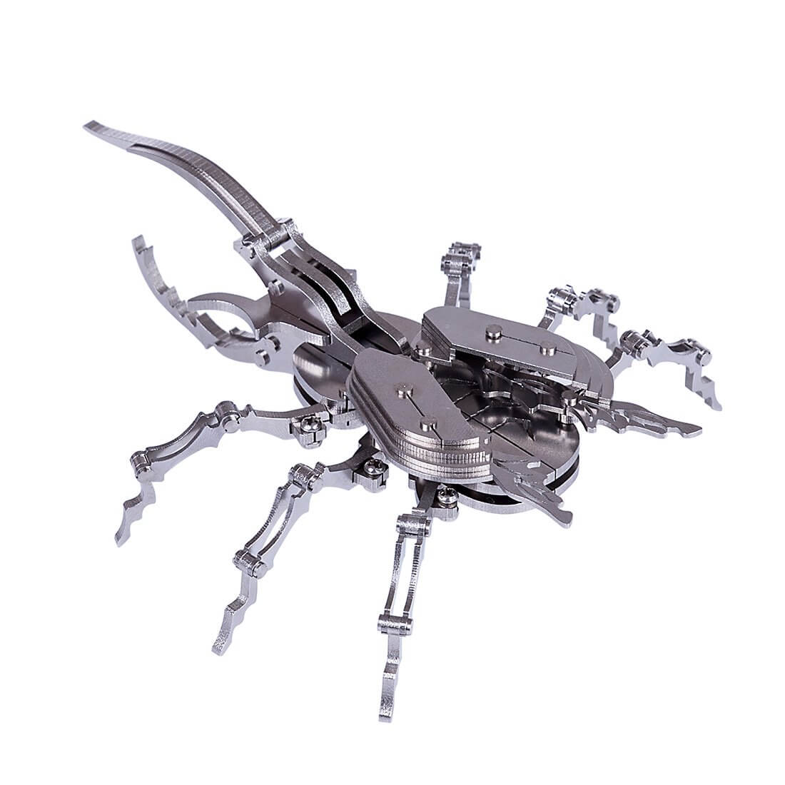 3PCS DIY 3D Mantis Beatles Cicada Assembled Model Puzzle