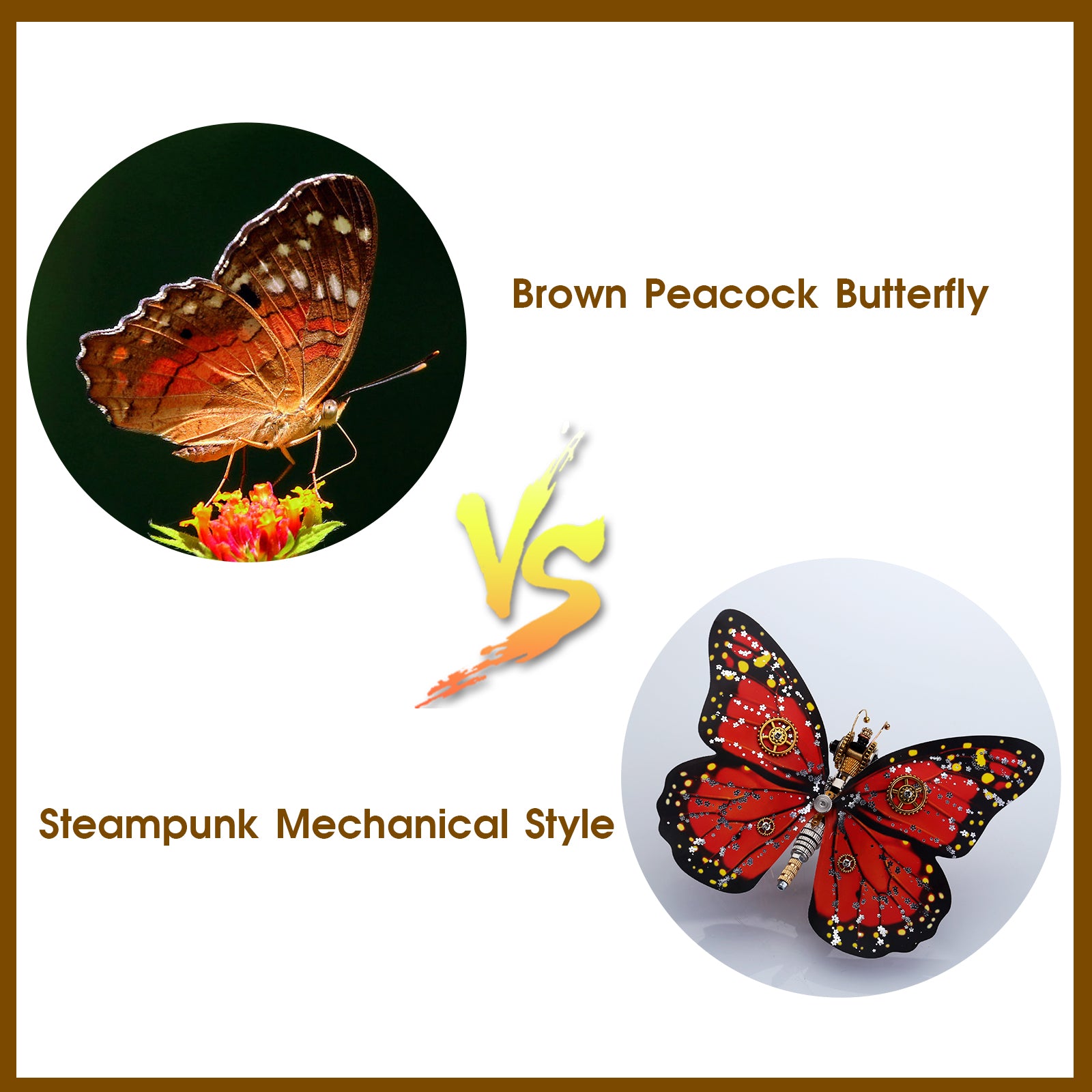 Monarch Butterfly Kit