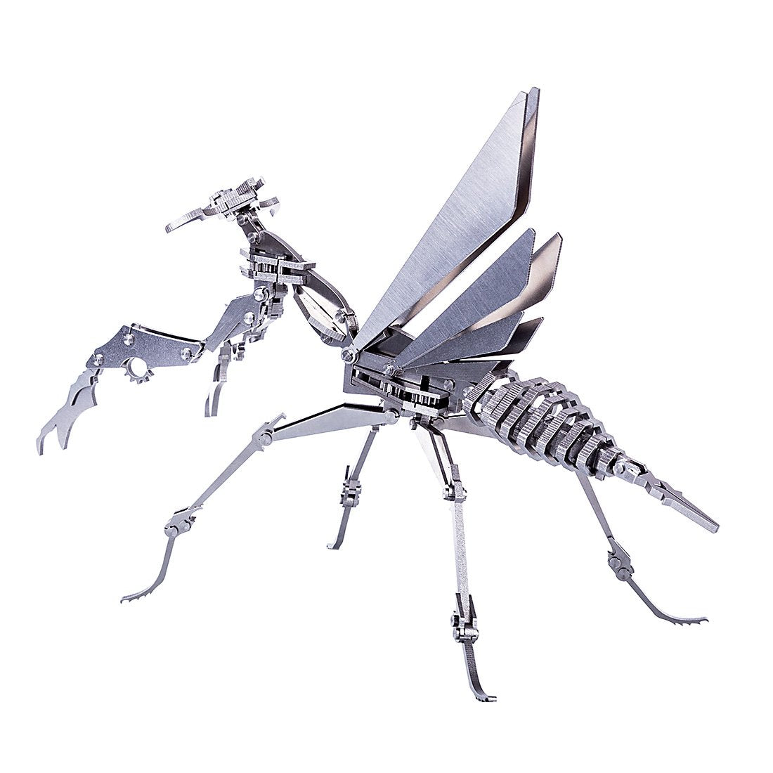 Scale Insect Models Detachable DIY Assembly 3D Insects Series Model Kit - Beatles Spider