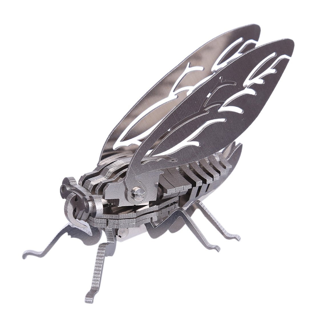 Bug Model Kit Detachable DIY Assembly 3D Insects Series Model Kit - Beatles Spider
