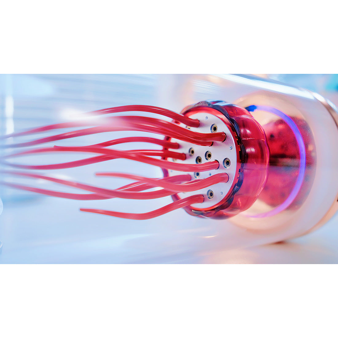 Mechanical Rhythm Red Capsule Jellyfish Kinetic Metal Model with Glass Cover