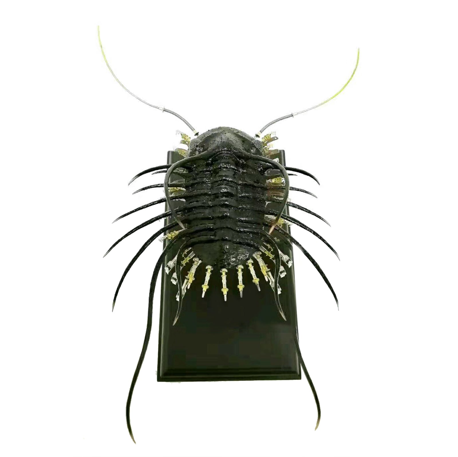 Metal 3D Steampunk Trilobite Bug  Assembled Model Kits  Sculpture Crafts