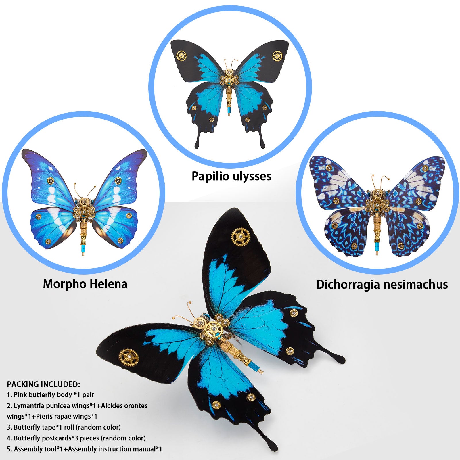 Steampunk Morpho Butterfly Kits for Butterfly Lovers Steampunk Decor