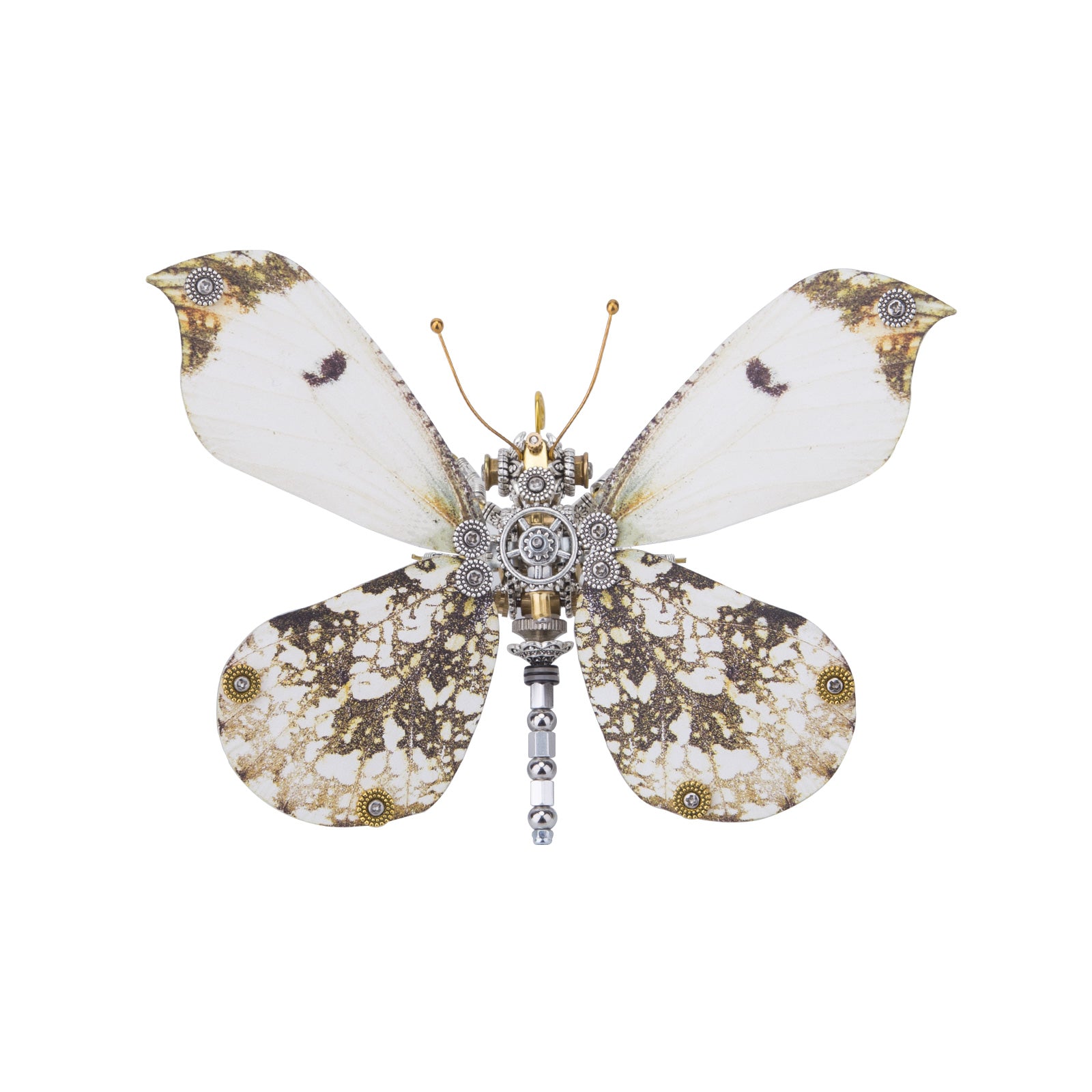Steampunk Owl butterfly 3D DIY Kits Caligo Eurilochus 150PCS+